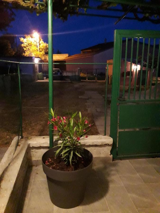 Alen Pula